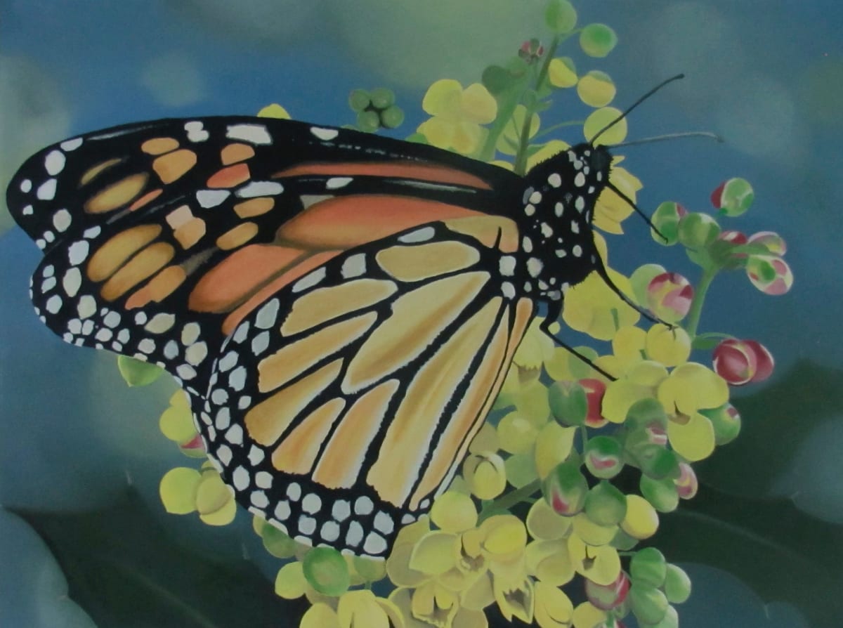 Monarch on Oregon Grape
