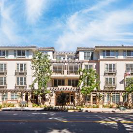 Ivy Park at Studio City