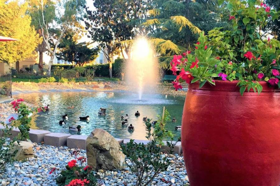 Villa Serena Retirement