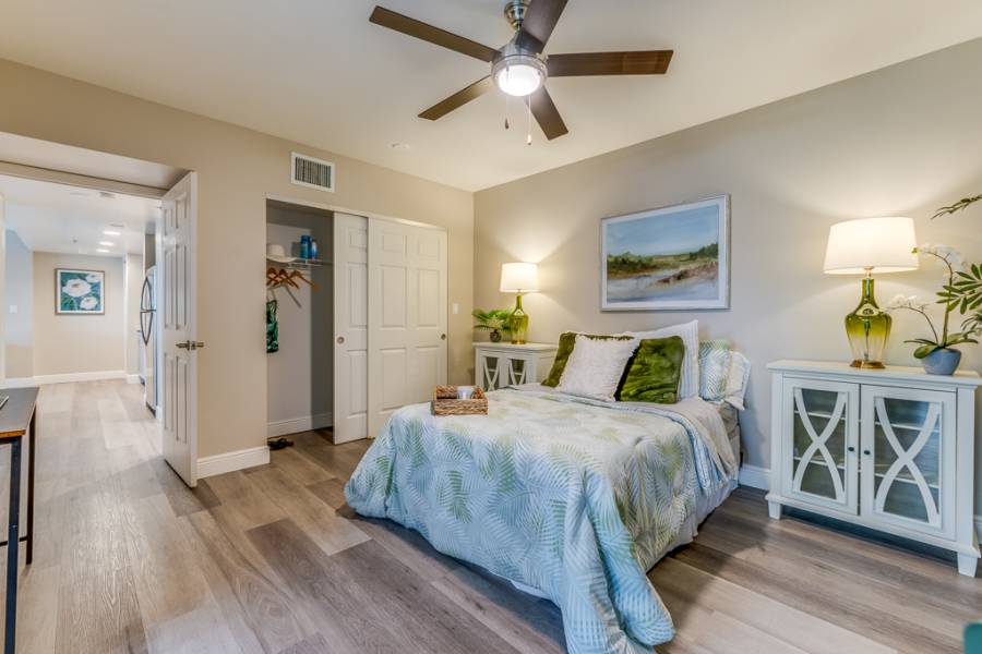 Springtree Senior Living