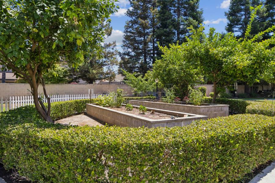 Cogir of Cedar Creek