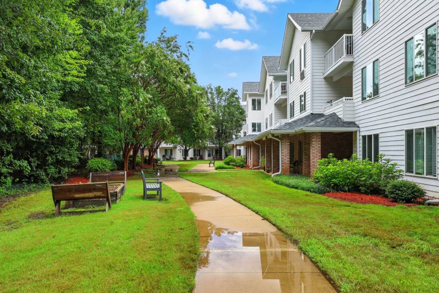 Solista Hickory by Cogir