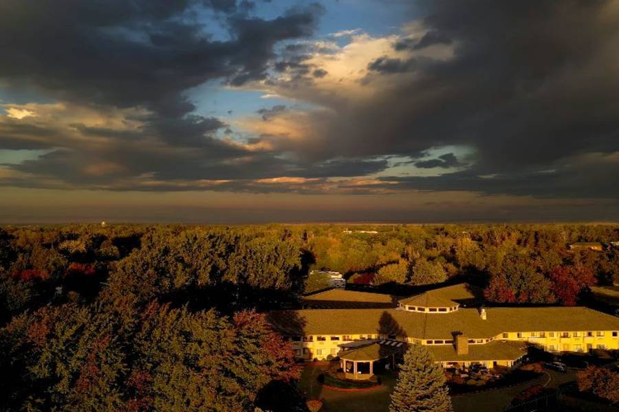 Solista Walla Walla by Cogir