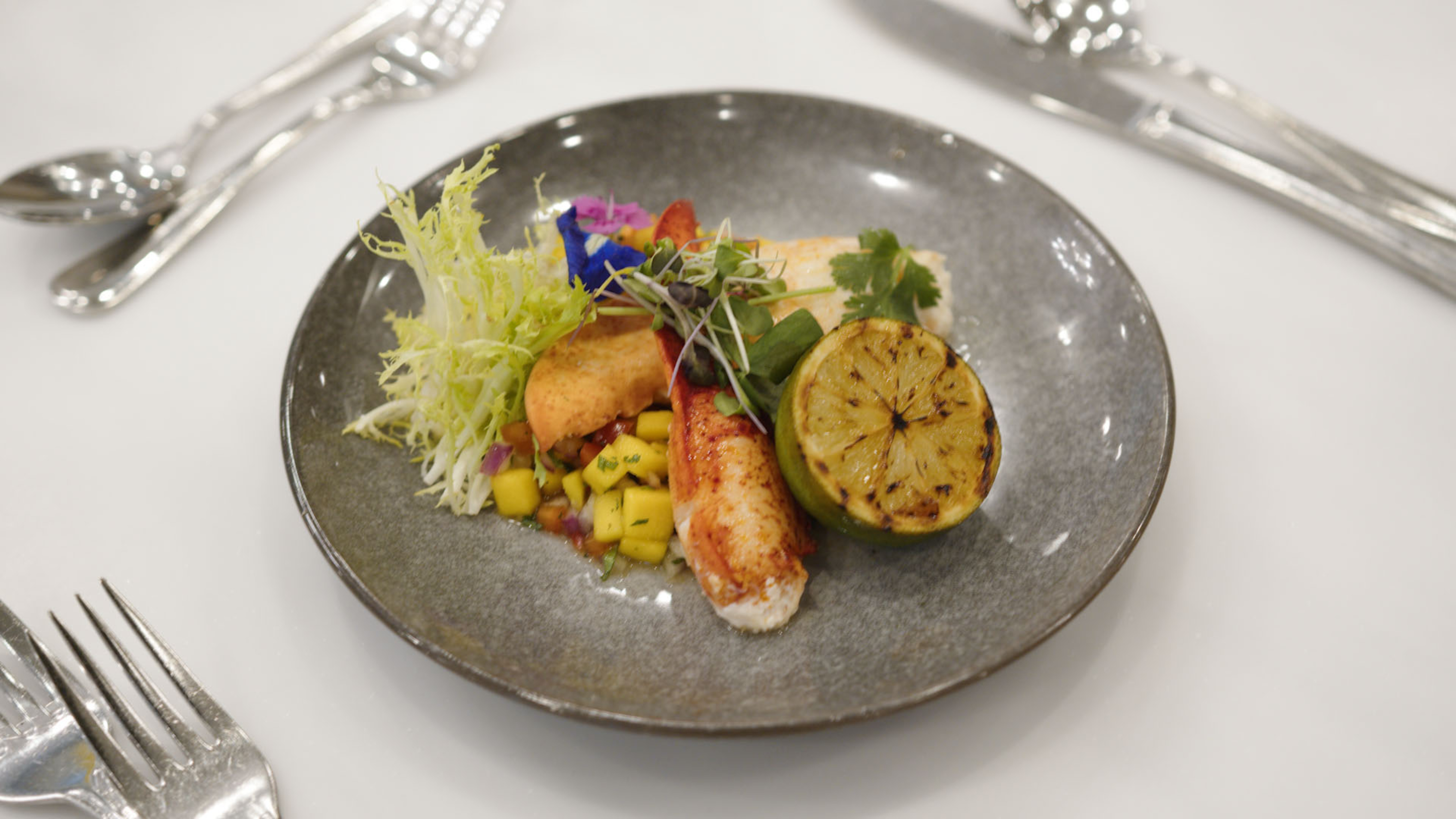 Vi at Lakeside Village 