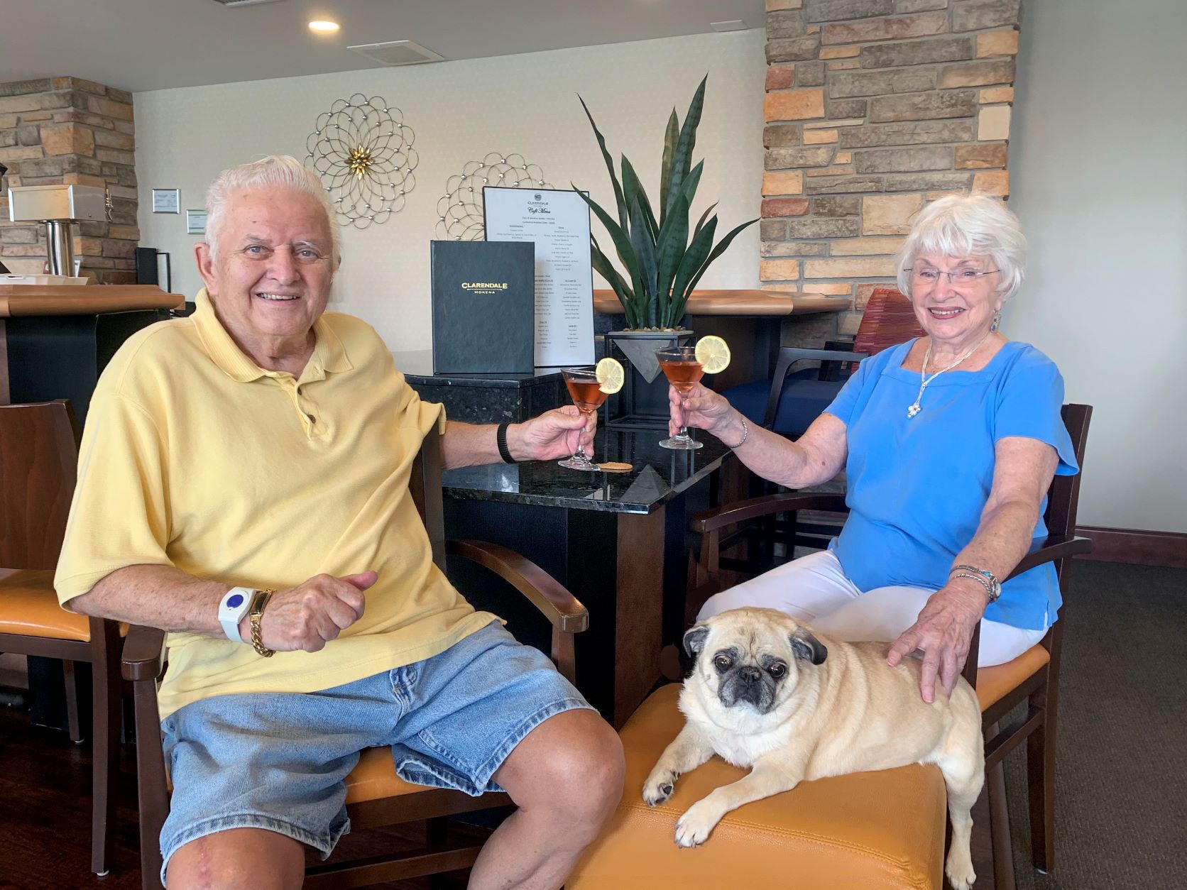 Clarendale of Mokena