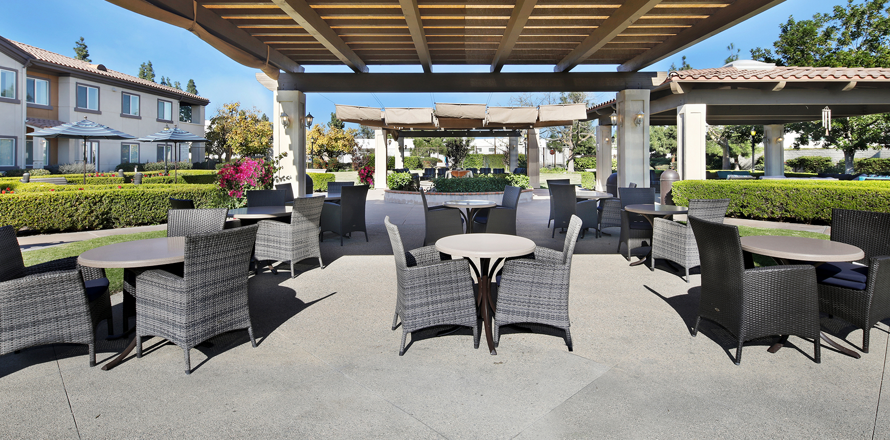 Ivy Park at Cerritos