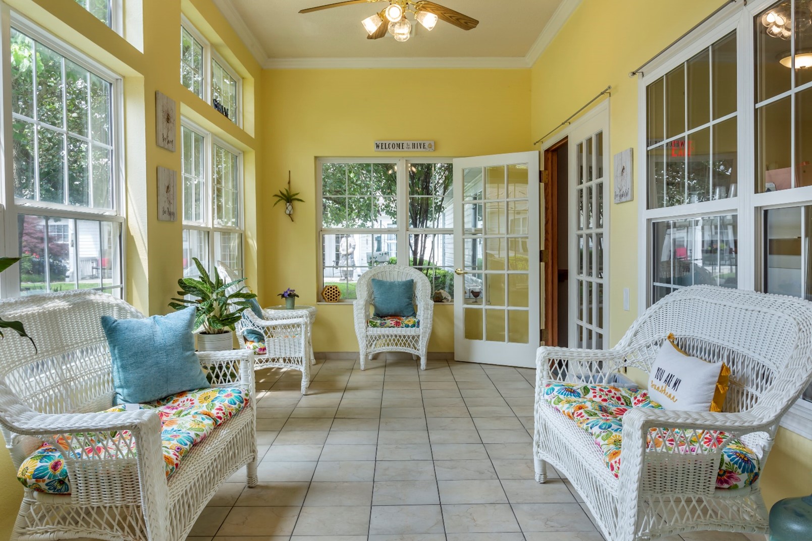 Navion of Greenville