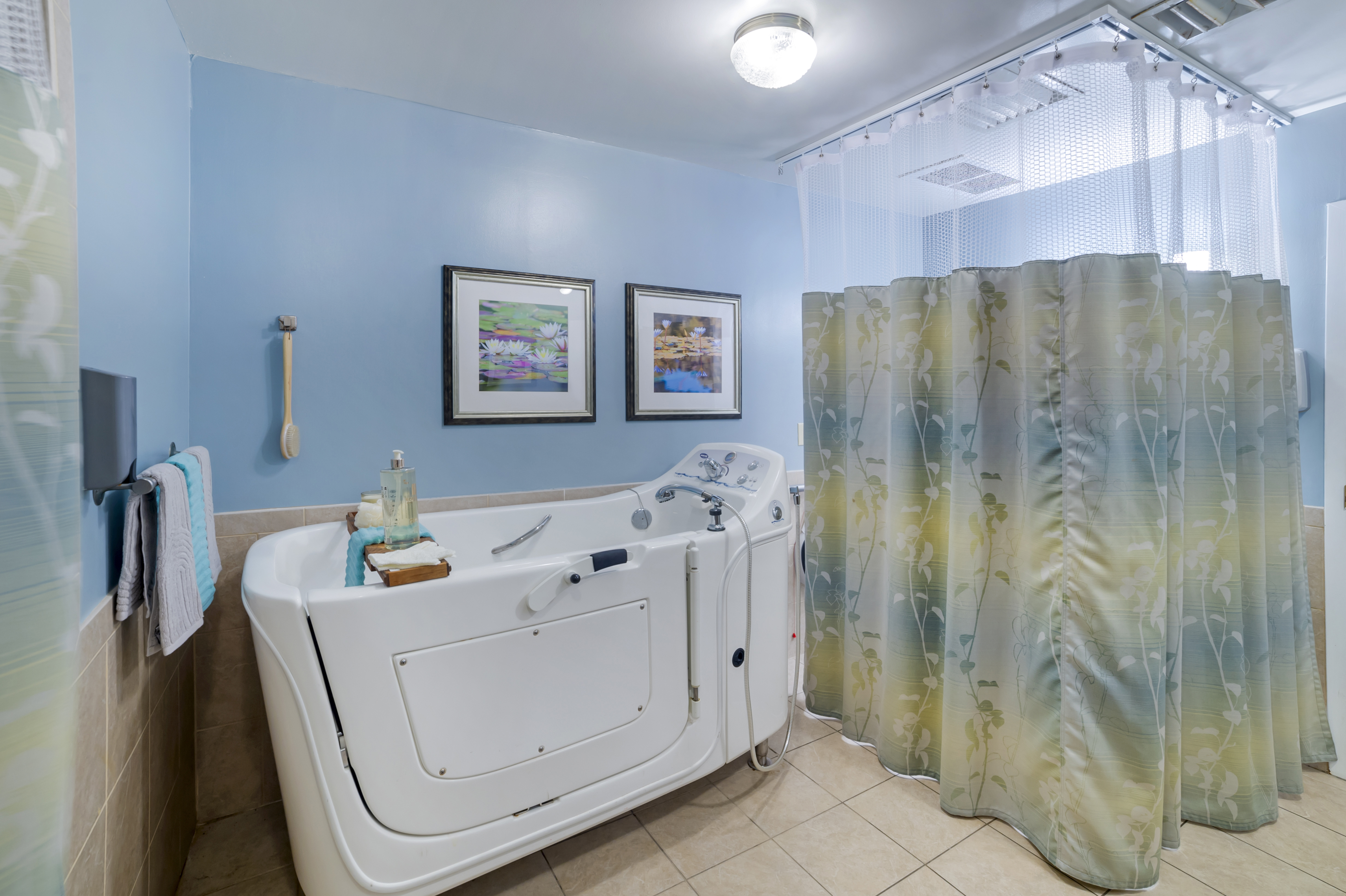 Brookdale Asheville Overlook