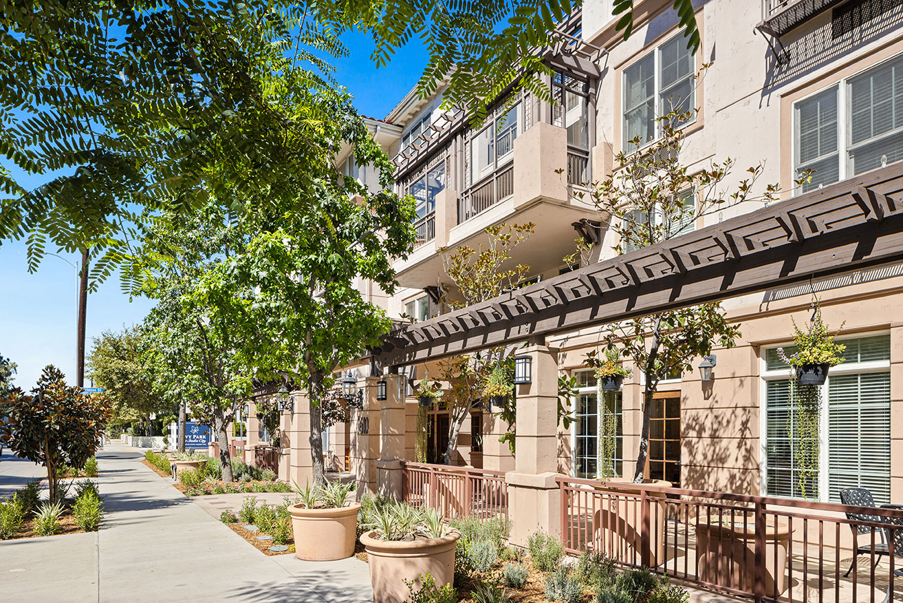 Ivy Park at Studio City