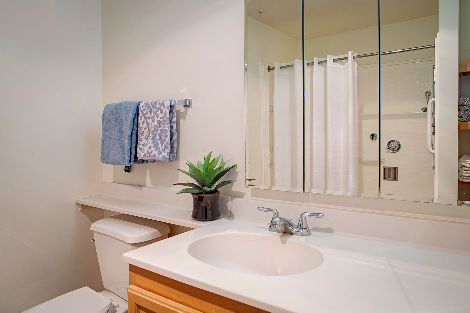 Ivy Park at Santa Monica