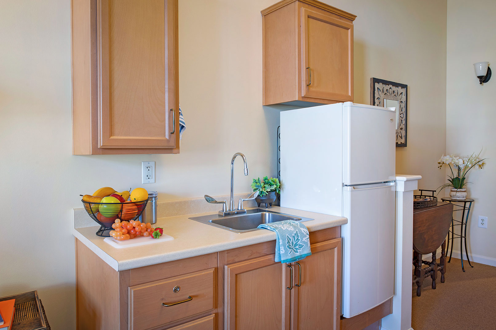 Ivy Park at Santa Monica