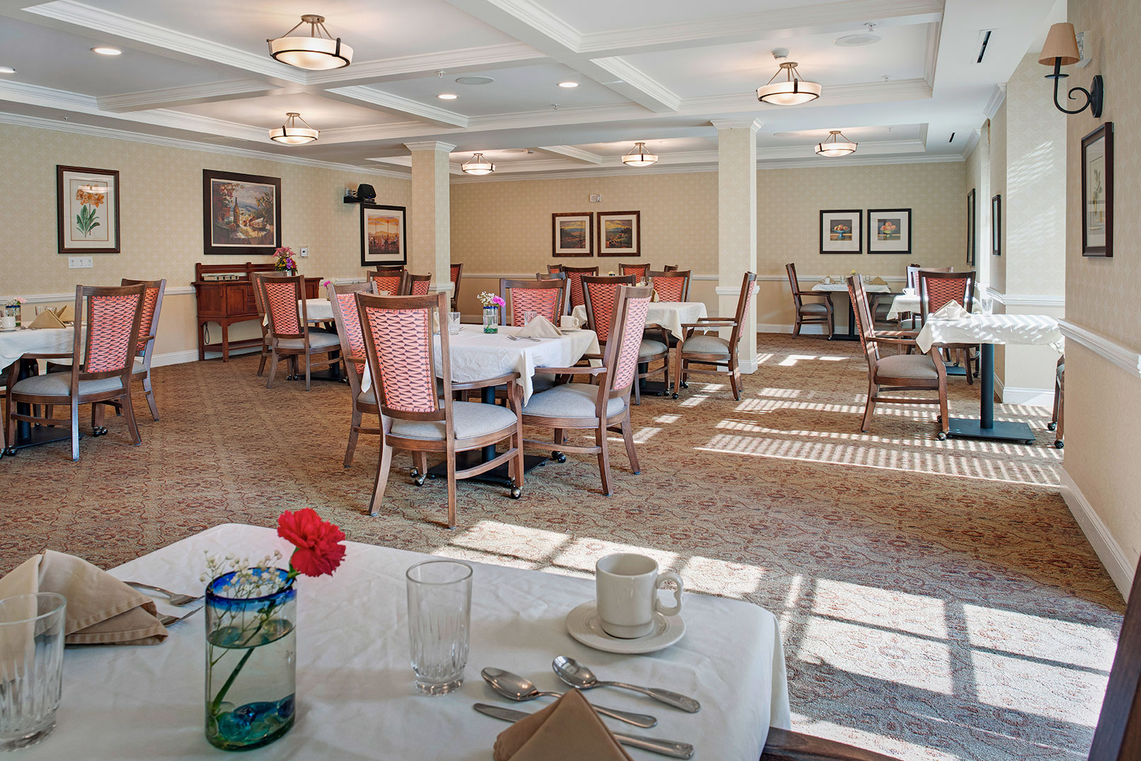 Ivy Park at Santa Monica