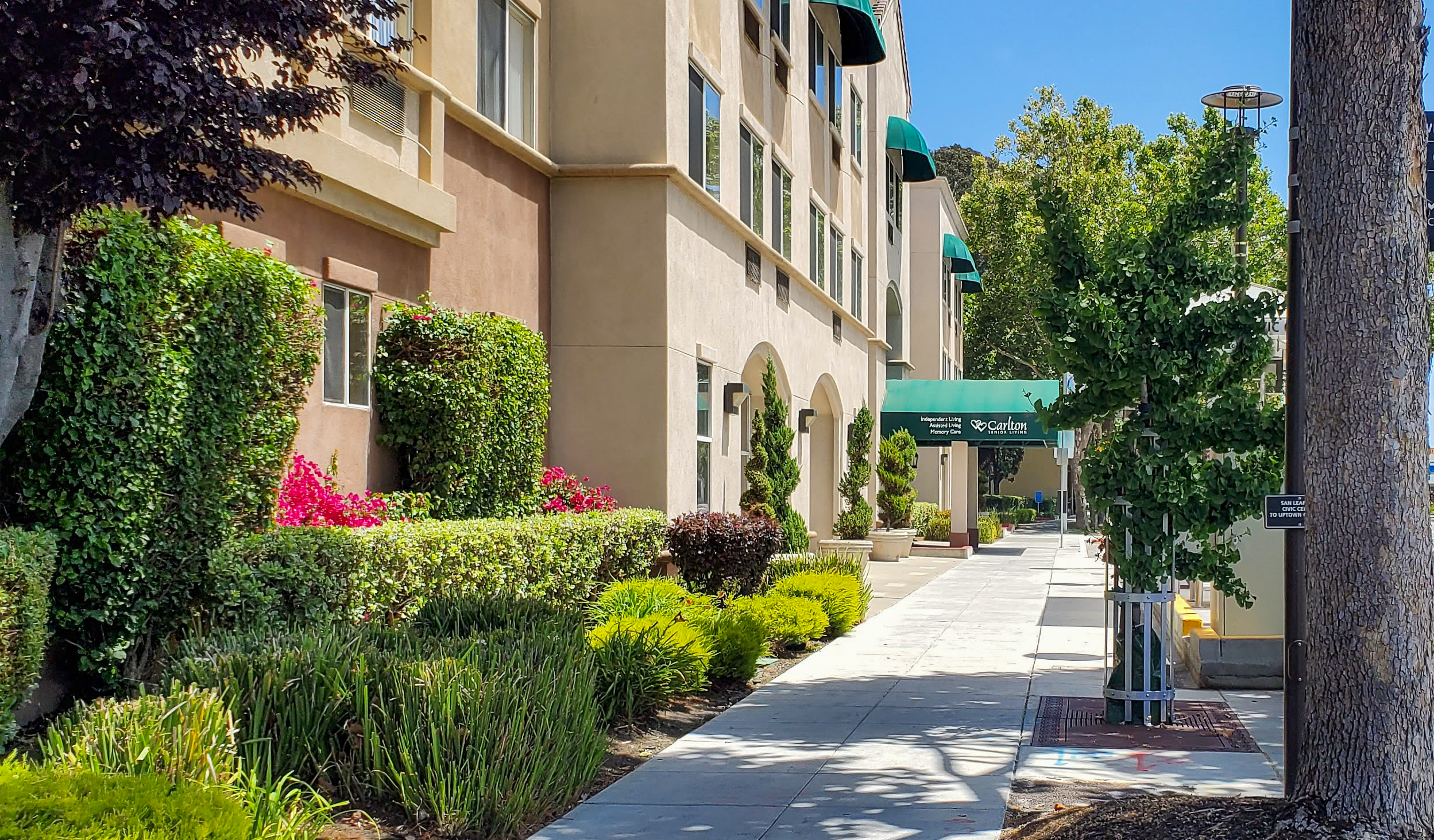Carlton Senior Living San Leandro