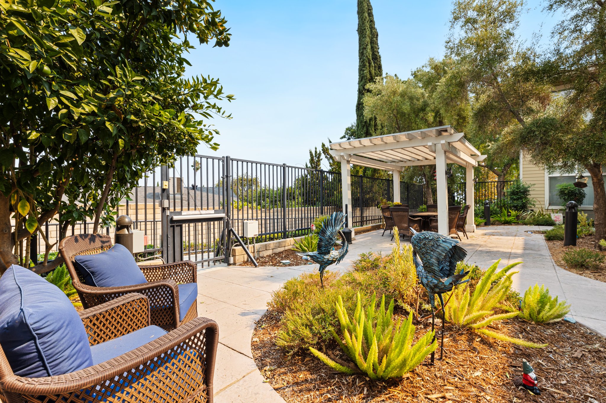 Ivy Park at Alta Loma