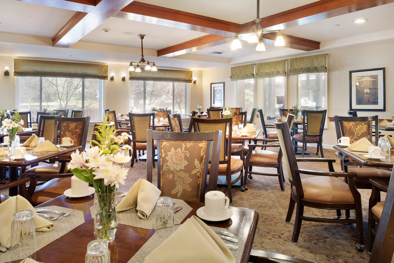 Ivy Park at Claremont