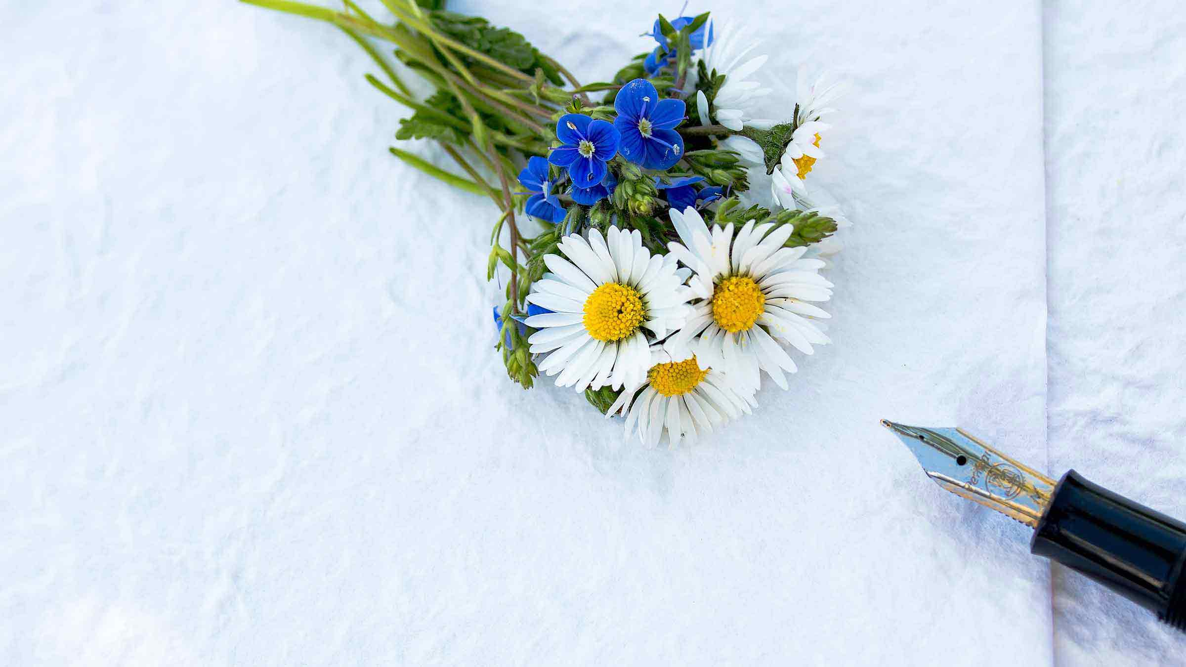 bloom-blooming-blossom-433468-2400x1350-1