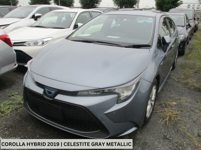 TOYOTA COROLLA Image