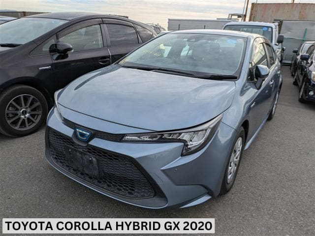 TOYOTA COROLLA Image