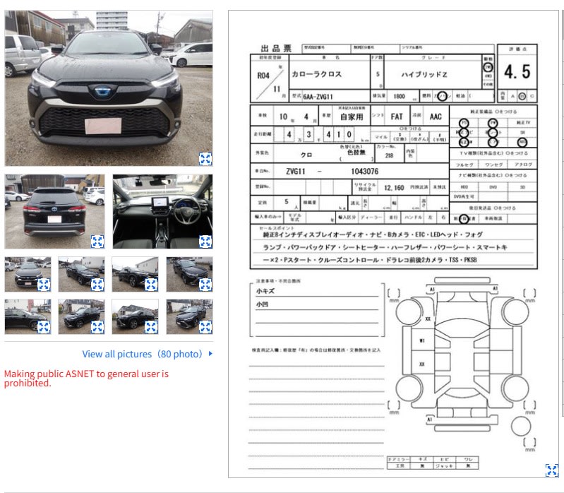 Auction Sheet