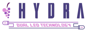 Hydra DLT per liquidi - Caronte Consulting