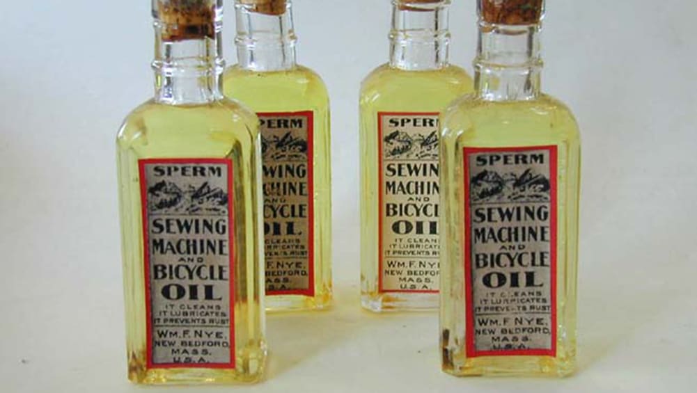 Automatic transmissions were once lubricated with Sperm oil CarsGuide OverSteer