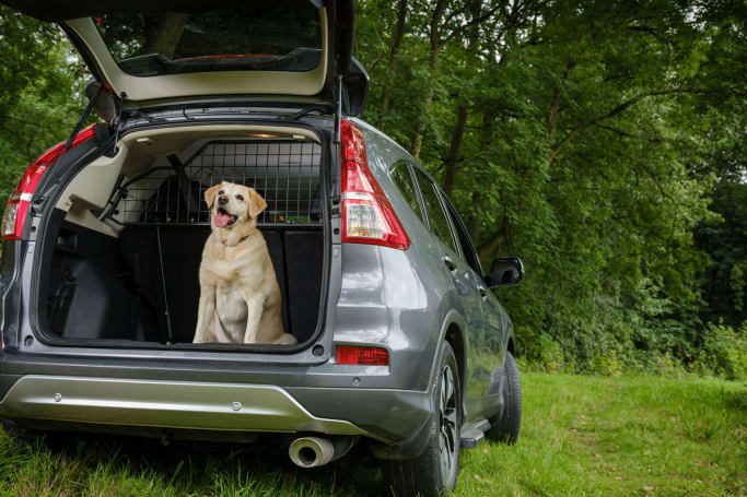 Best Dog Car Seat >> Dog Car Barrier - The Best Cargo Divider for Your Car ... Best Dog Car Seat >> Dog Car Barrier - The Best Cargo Divider for Your Car ...