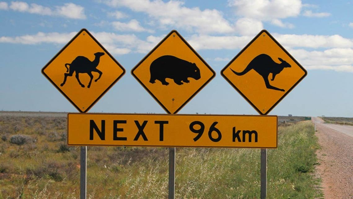 australian road signs for