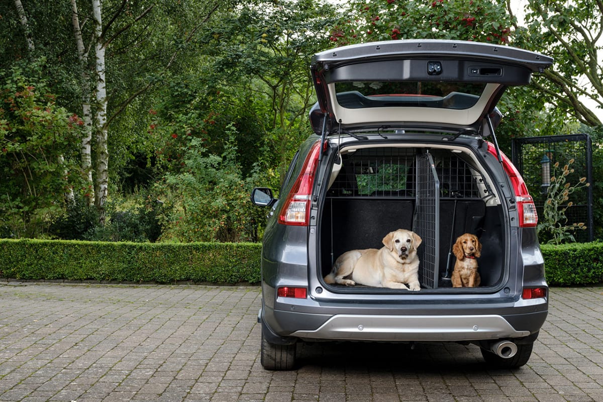 dog barrier for car