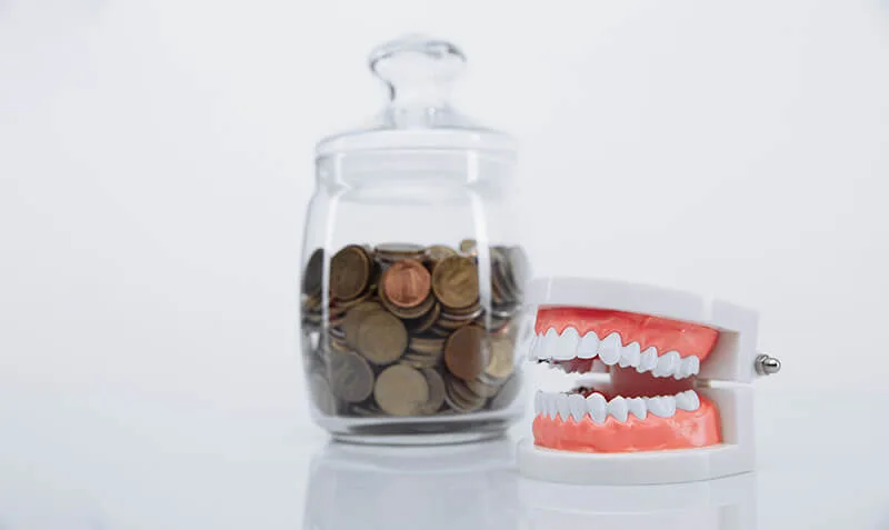 model jaw bank with coins money dentist concept