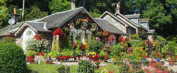 Garten Beispielbild