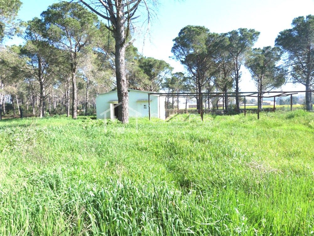 Small building located on a large rustic plot 