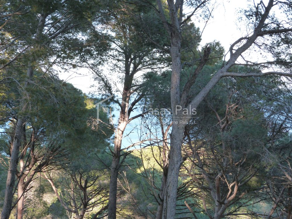 Baugrundstück in ruhiger und sonniger Lage 