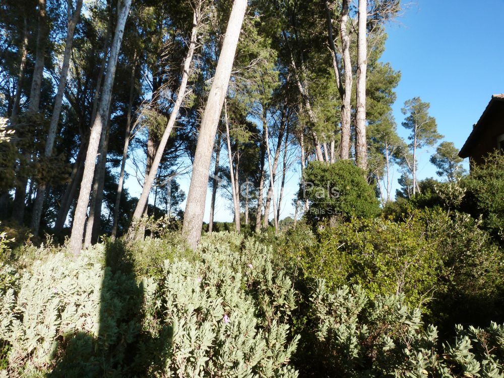 Baugrundstück in ruhiger und sonniger Lage 