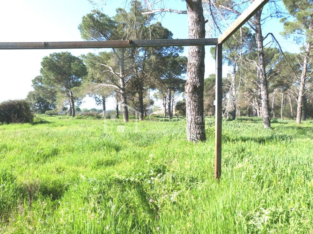 Pequeña construcción en un gran terreno rustico 