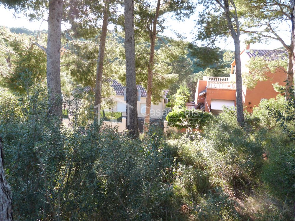 Baugrundstück in ruhiger und sonniger Lage 