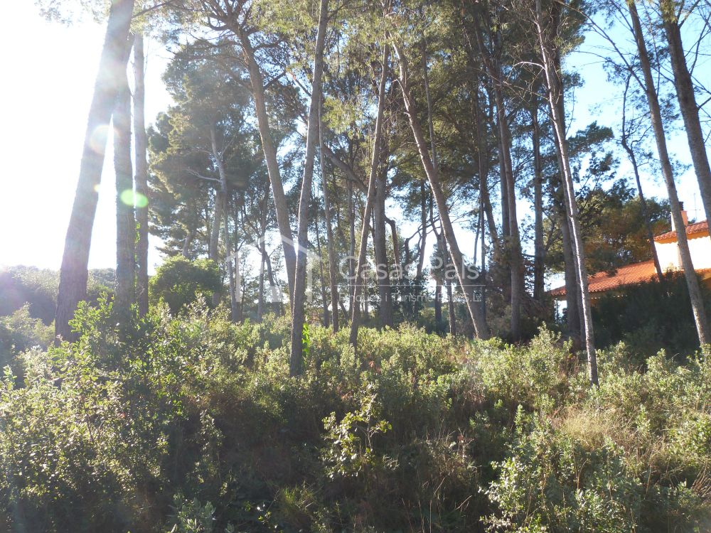 Baugrundstück in ruhiger und sonniger Lage 