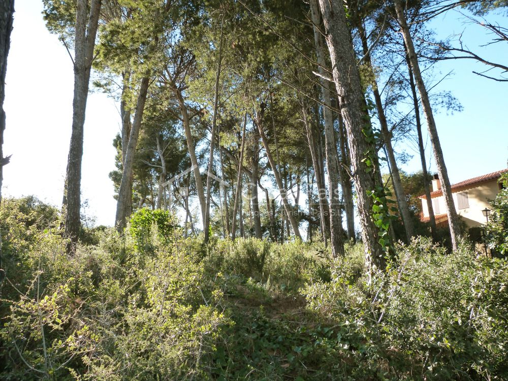 Baugrundstück in ruhiger und sonniger Lage 