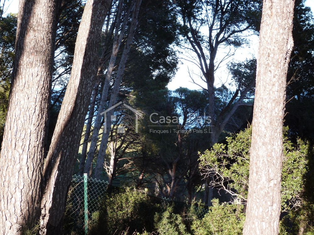 Baugrundstück in ruhiger und sonniger Lage 