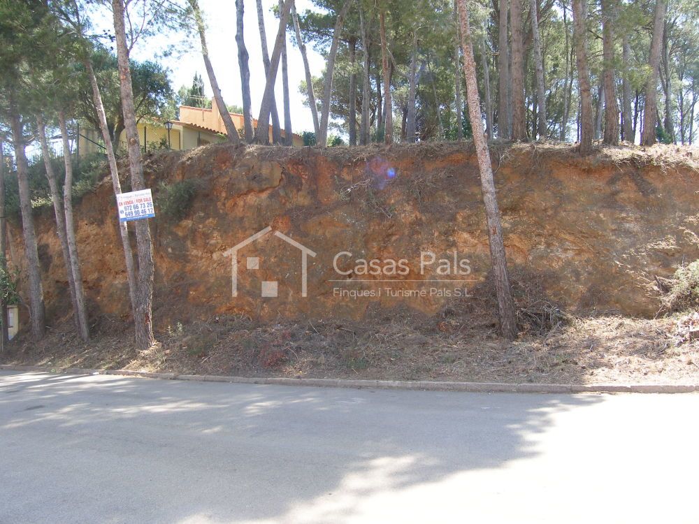 Terreny en zona tranquila i assolellat 