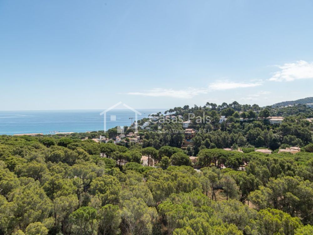 Lluminós apartament a prop de la platja a Pals