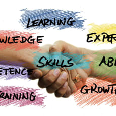 Skills-3371153_1920