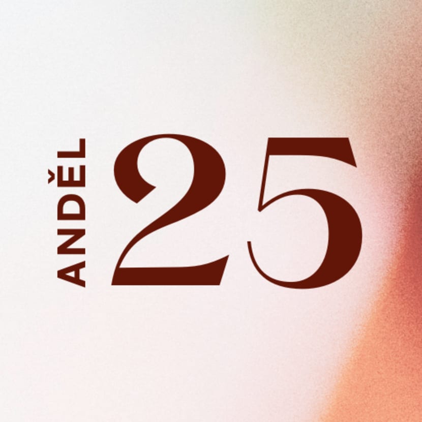 Akce anděl logo