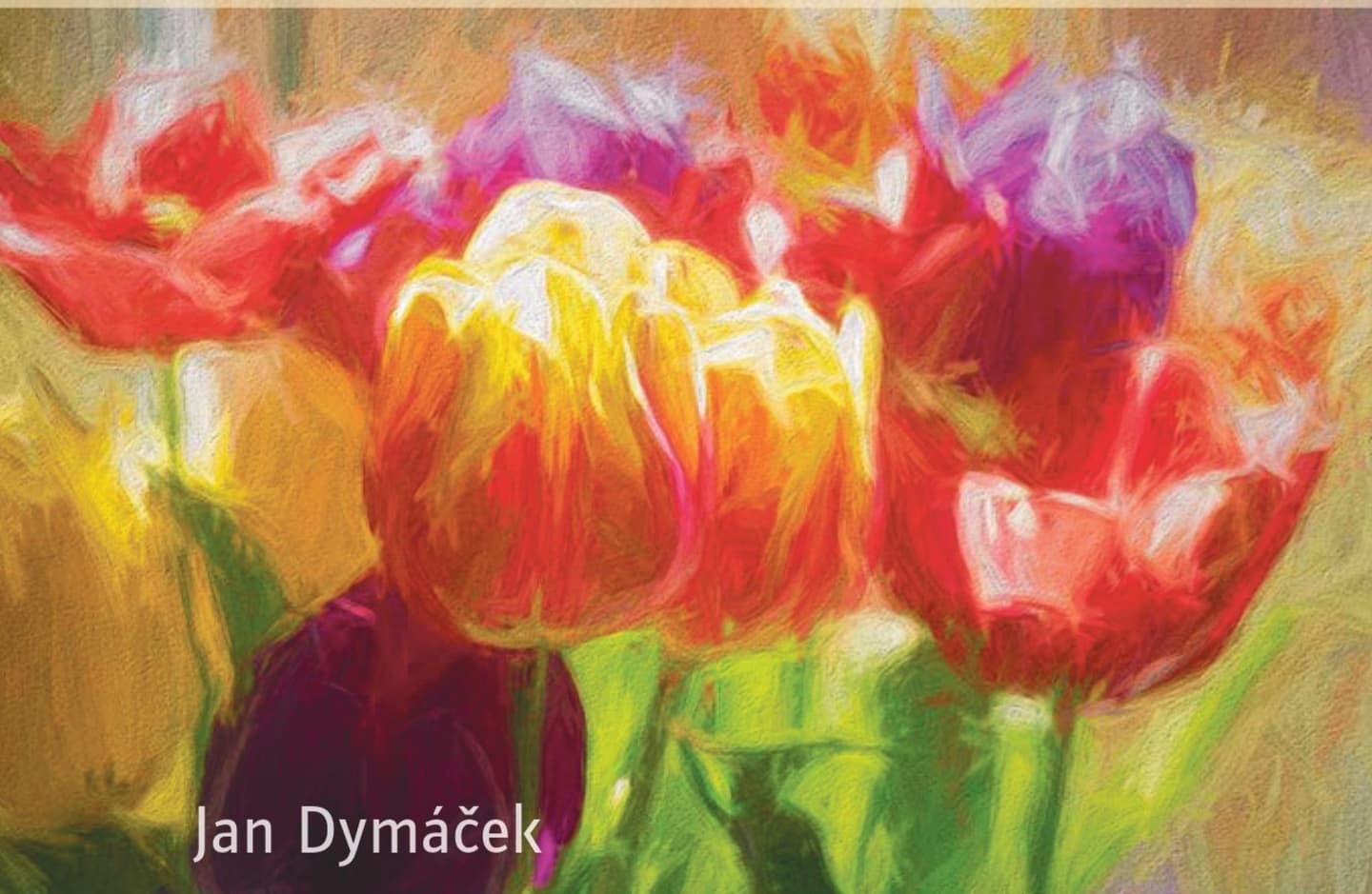 Jitřenka 2026 náhledový obrázek