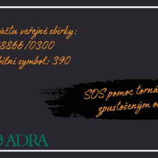 204814256_10159462216272290_124042336675439029_n-2-1024x683