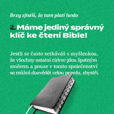 236026903-850252718957480-6193769622662463943-n