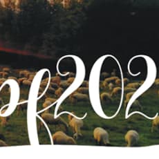 Fp2022_casd_cz_r1_page-0001 small