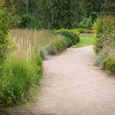 Park-2