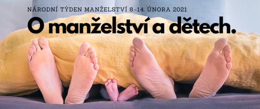 Banner_ntm_21-768x323