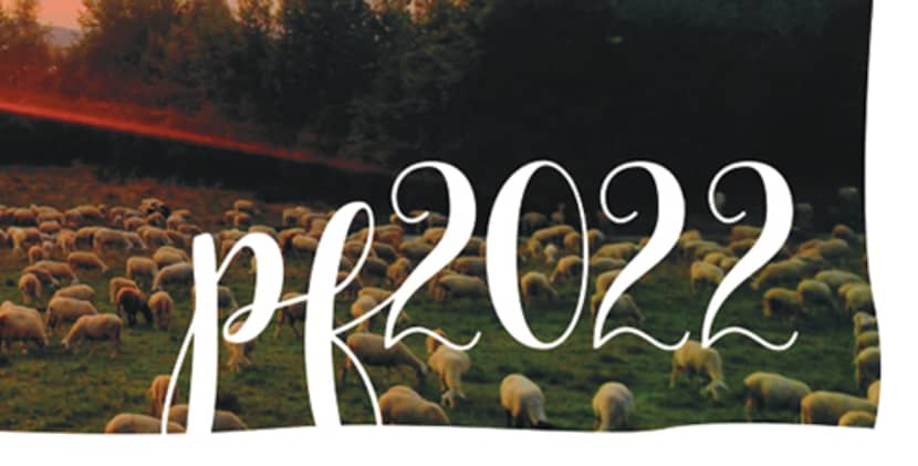 Fp2022_casd_cz_r1_page-0001 small