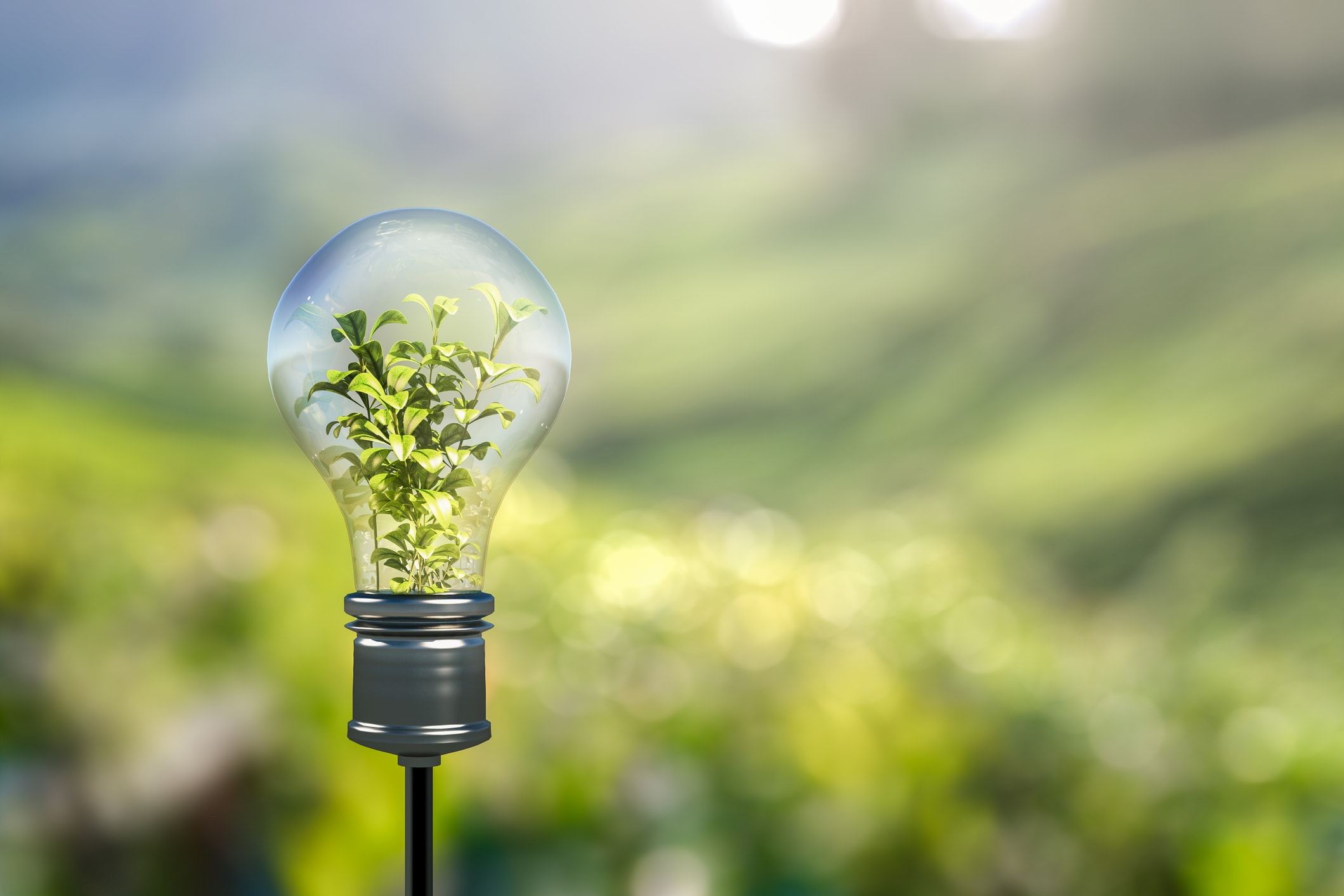 Loi Climat et résilience : les mesures, leur application, leur impact